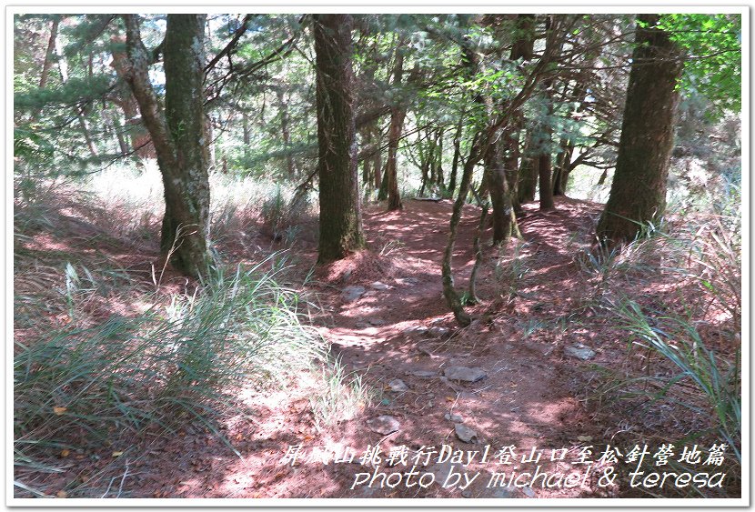 屏風山3天2夜挑戰行Day1新登山口至松針營地篇