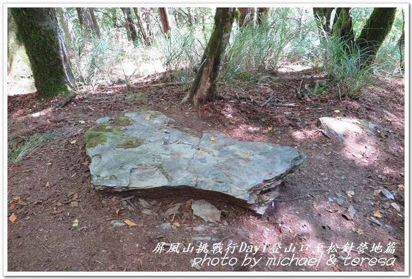 屏風山3天2夜挑戰行Day1新登山口至松針營地篇