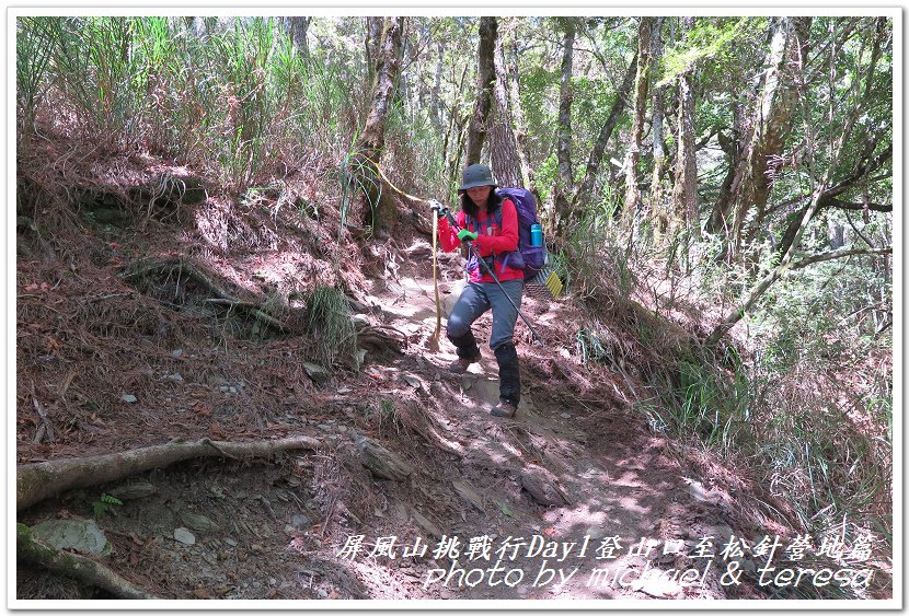 屏風山3天2夜挑戰行Day1新登山口至松針營地篇