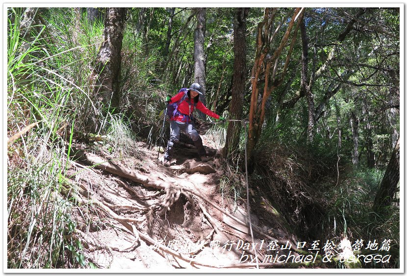 屏風山3天2夜挑戰行Day1新登山口至松針營地篇