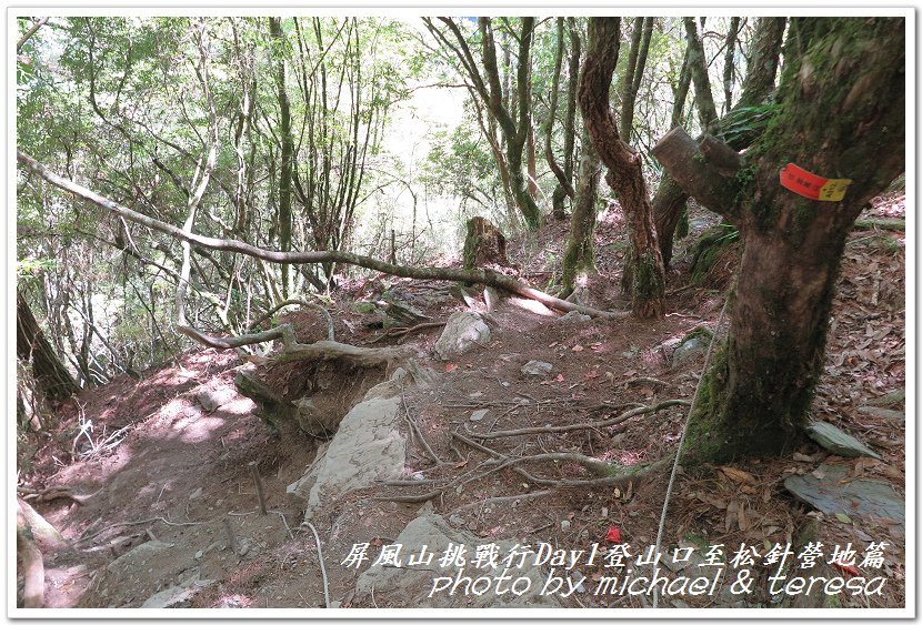 屏風山3天2夜挑戰行Day1新登山口至松針營地篇