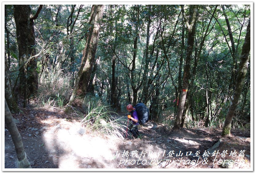 屏風山3天2夜挑戰行Day1新登山口至松針營地篇