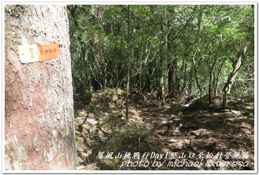 屏風山3天2夜挑戰行Day1新登山口至松針營地篇