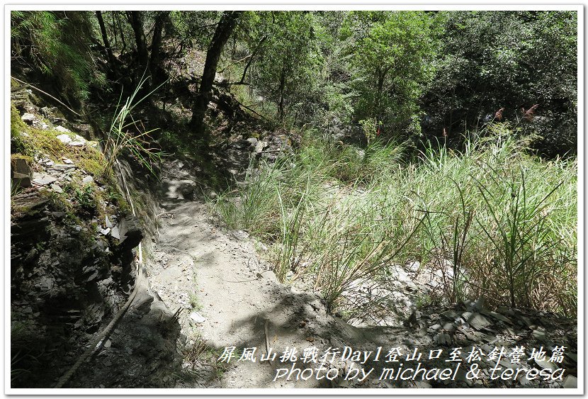 屏風山3天2夜挑戰行Day1新登山口至松針營地篇