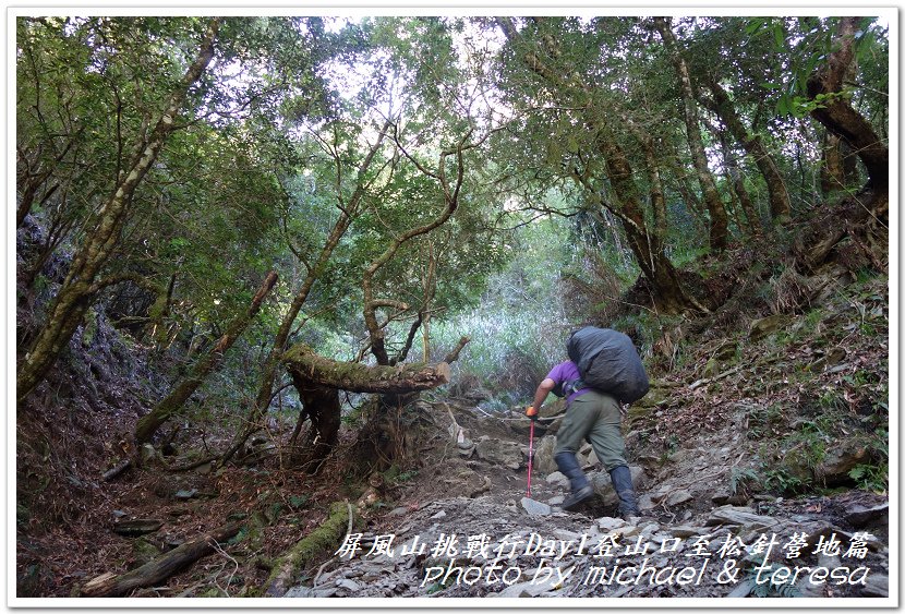 屏風山3天2夜挑戰行Day1新登山口至松針營地篇