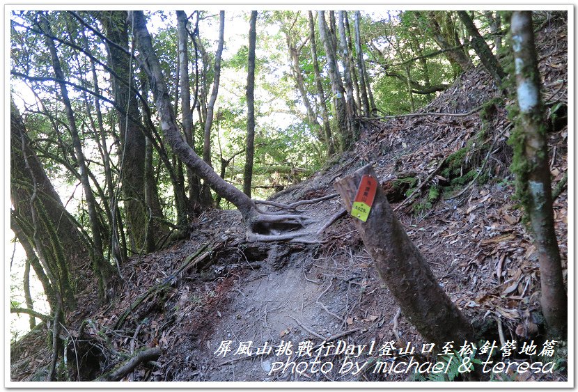 屏風山3天2夜挑戰行Day1新登山口至松針營地篇