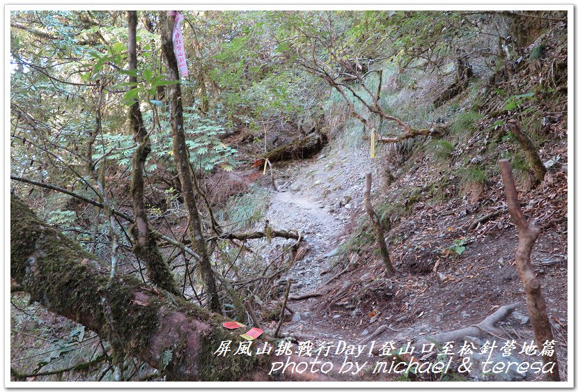 屏風山3天2夜挑戰行Day1新登山口至松針營地篇