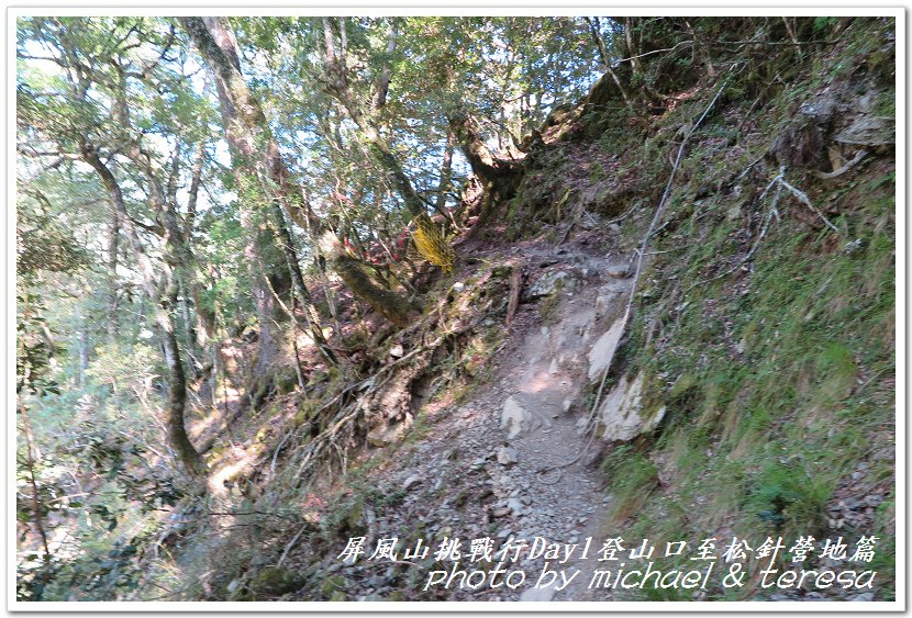 屏風山3天2夜挑戰行Day1新登山口至松針營地篇