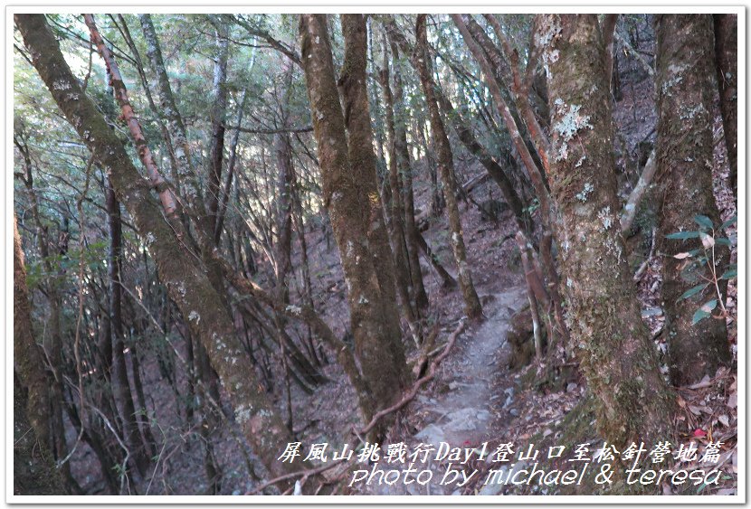 屏風山3天2夜挑戰行Day1新登山口至松針營地篇