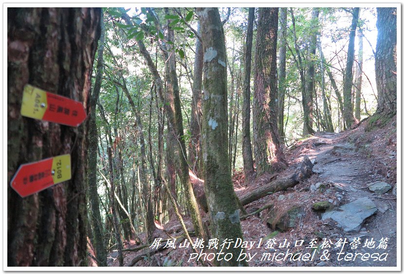 屏風山3天2夜挑戰行Day1新登山口至松針營地篇