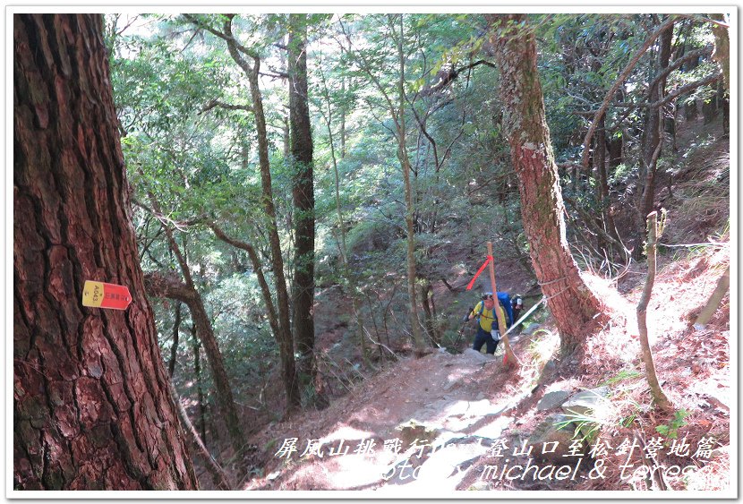 屏風山3天2夜挑戰行Day1新登山口至松針營地篇