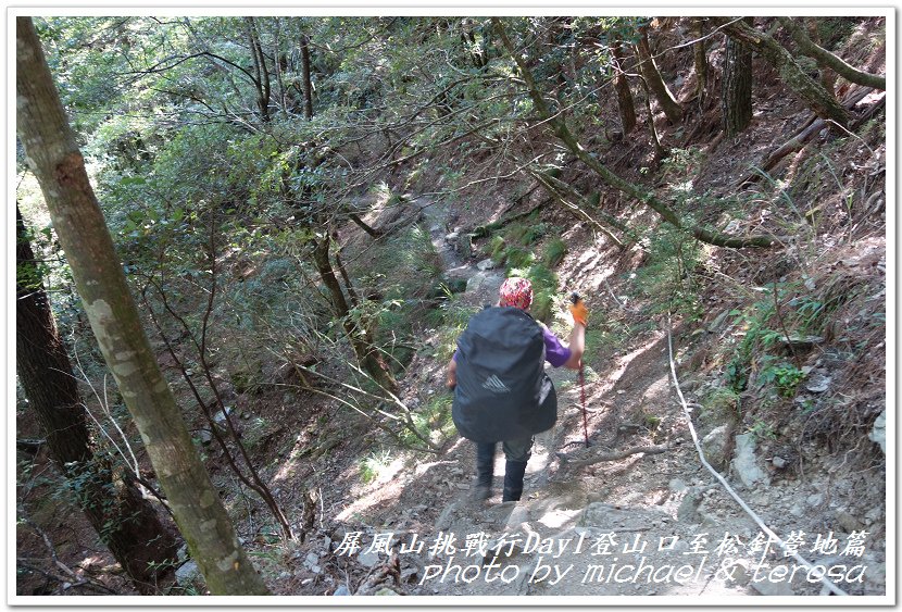 屏風山3天2夜挑戰行Day1新登山口至松針營地篇