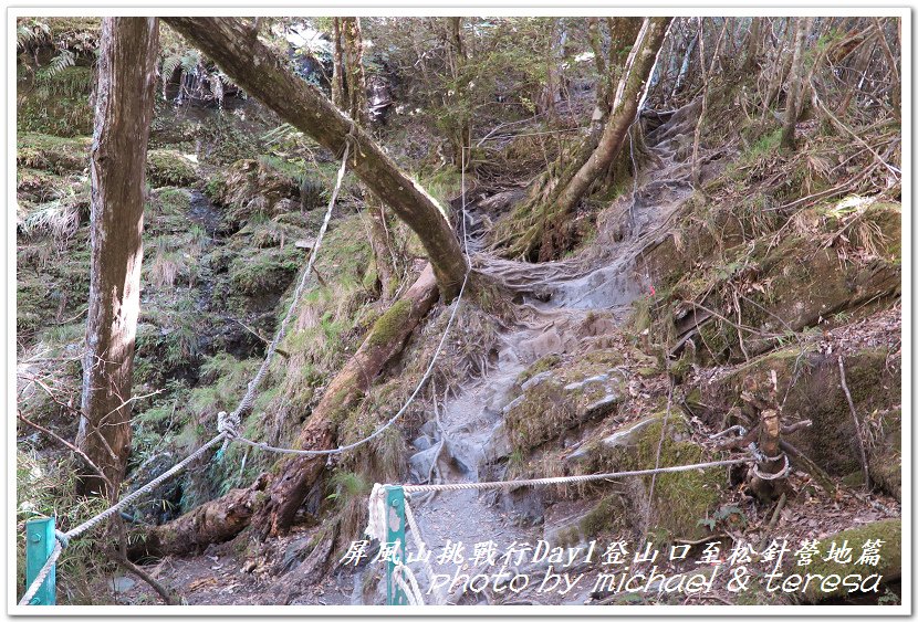 屏風山3天2夜挑戰行Day1新登山口至松針營地篇