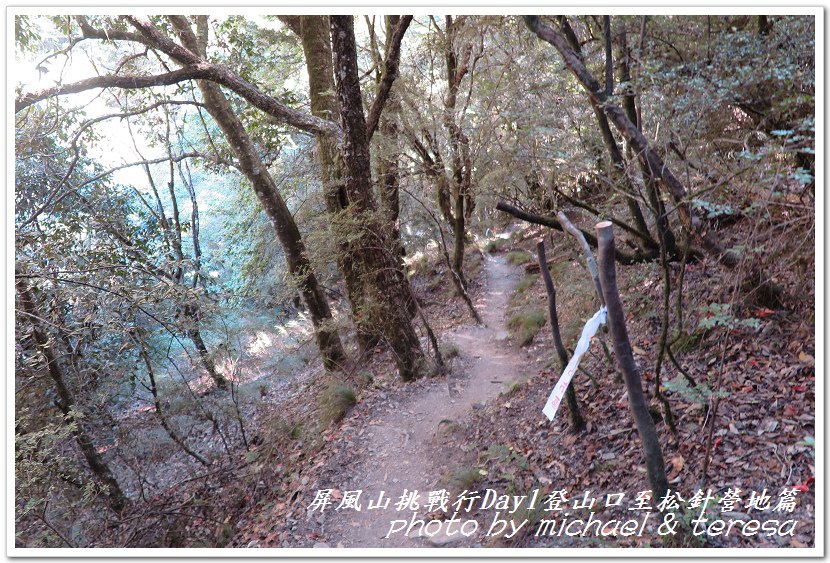 屏風山3天2夜挑戰行Day1新登山口至松針營地篇