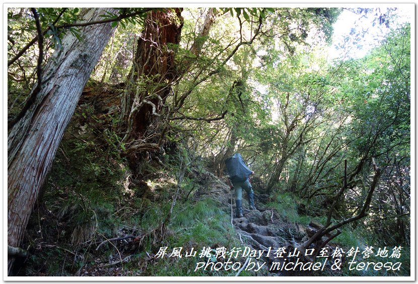 屏風山3天2夜挑戰行Day1新登山口至松針營地篇