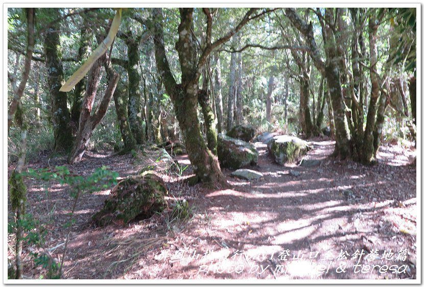 屏風山3天2夜挑戰行Day1新登山口至松針營地篇