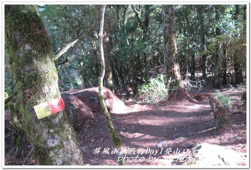 屏風山3天2夜挑戰行Day1新登山口至松針營地篇