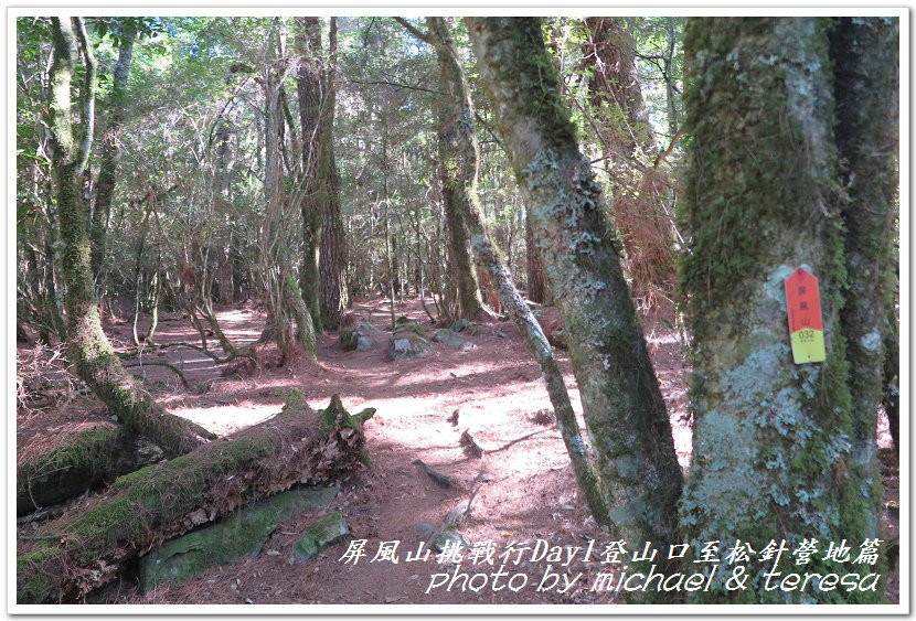 屏風山3天2夜挑戰行Day1新登山口至松針營地篇