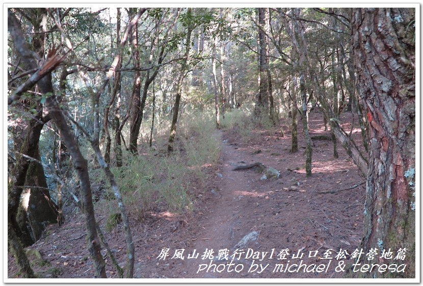 屏風山3天2夜挑戰行Day1新登山口至松針營地篇