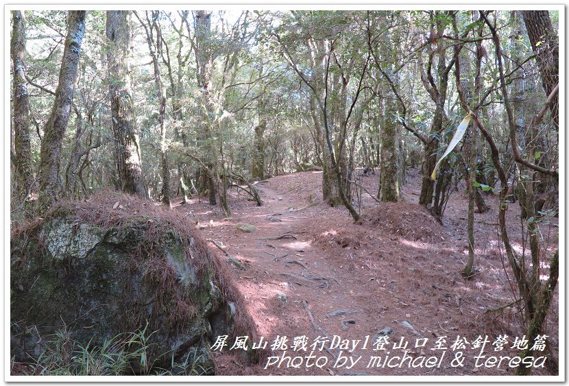 屏風山3天2夜挑戰行Day1新登山口至松針營地篇