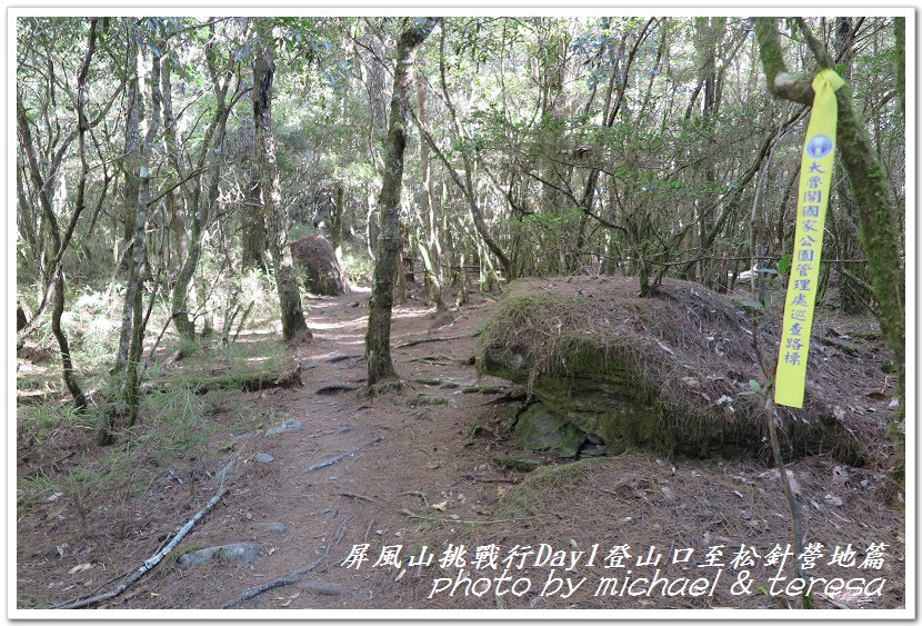 屏風山3天2夜挑戰行Day1新登山口至松針營地篇