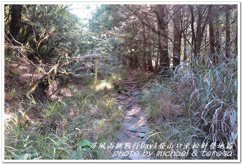 屏風山3天2夜挑戰行Day1新登山口至松針營地篇