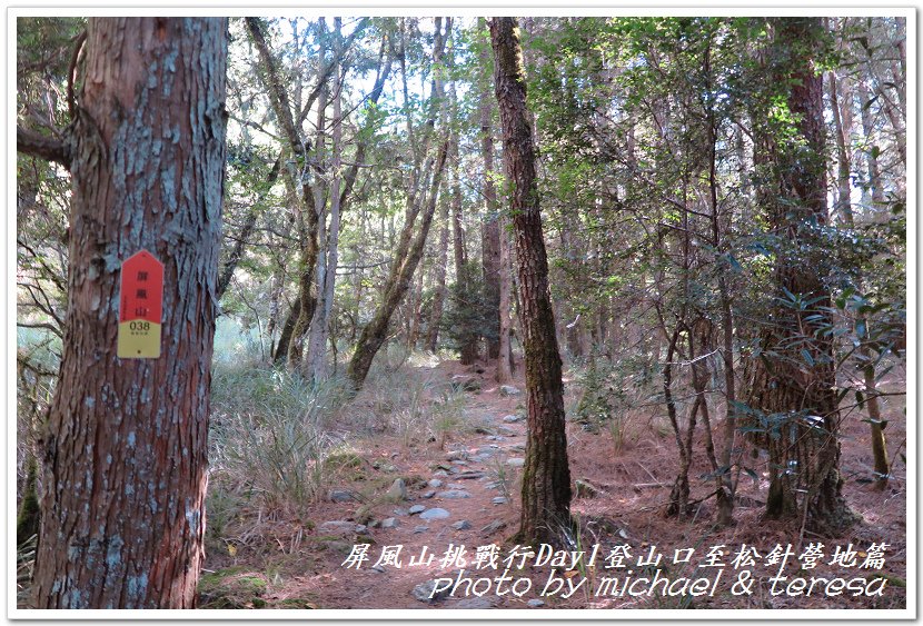 屏風山3天2夜挑戰行Day1新登山口至松針營地篇