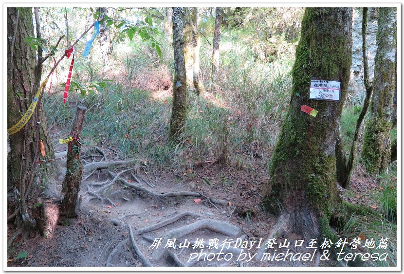 屏風山3天2夜挑戰行Day1新登山口至松針營地篇