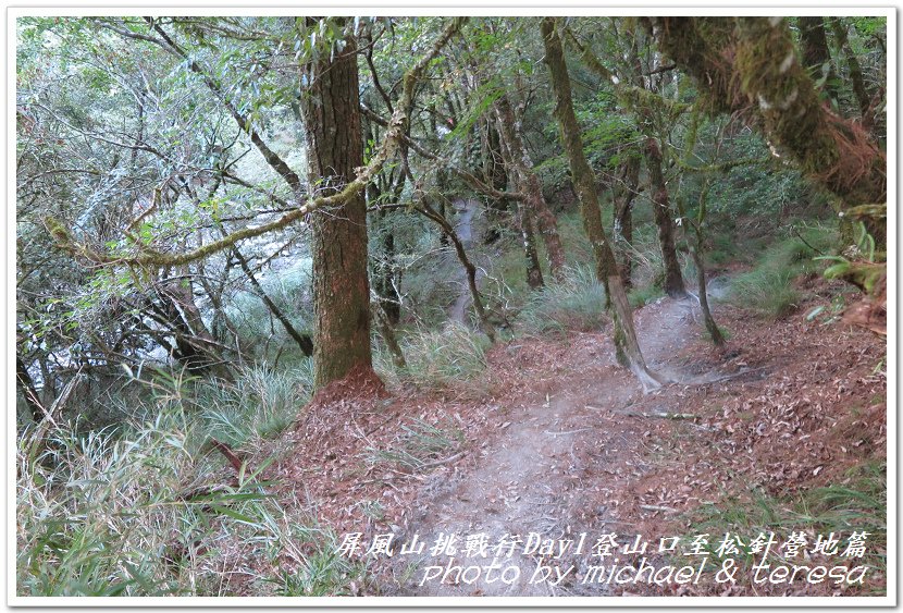 屏風山3天2夜挑戰行Day1新登山口至松針營地篇