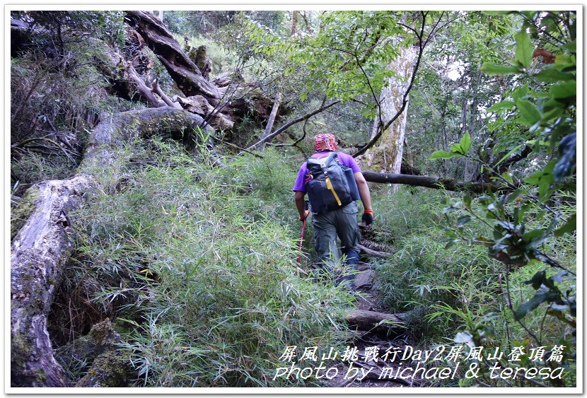 屏風山3天2夜挑戰行Day2我們的第61座百岳NO65屏風山