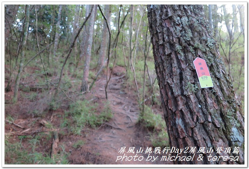 屏風山3天2夜挑戰行Day2我們的第61座百岳NO65屏風山