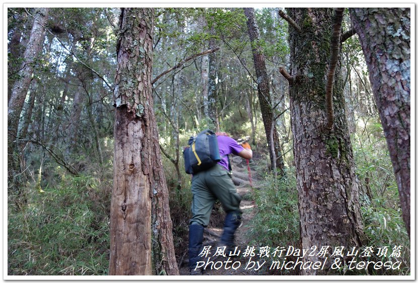 屏風山3天2夜挑戰行Day2我們的第61座百岳NO65屏風山