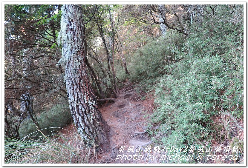 屏風山3天2夜挑戰行Day2我們的第61座百岳NO65屏風山