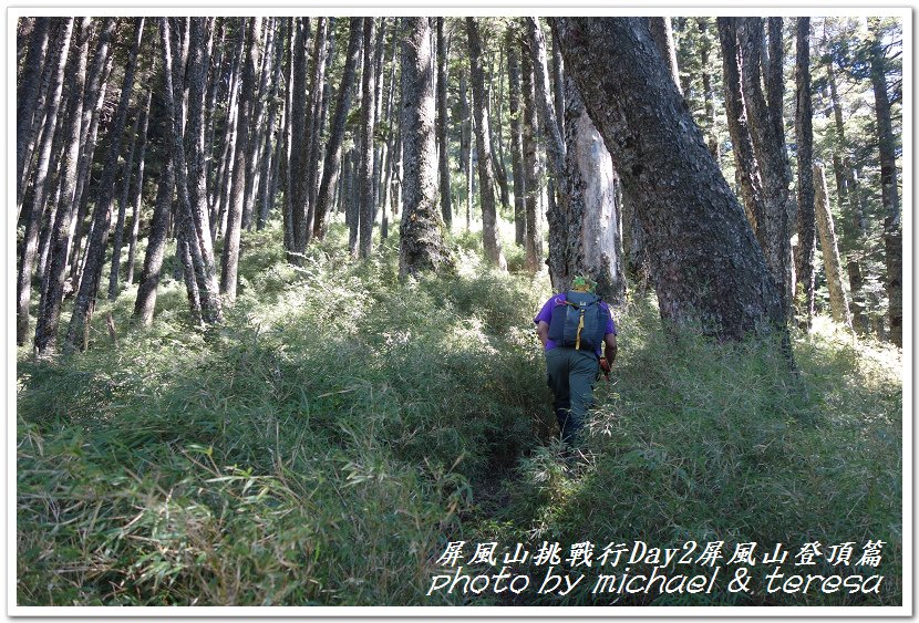 屏風山3天2夜挑戰行Day2我們的第61座百岳NO65屏風山