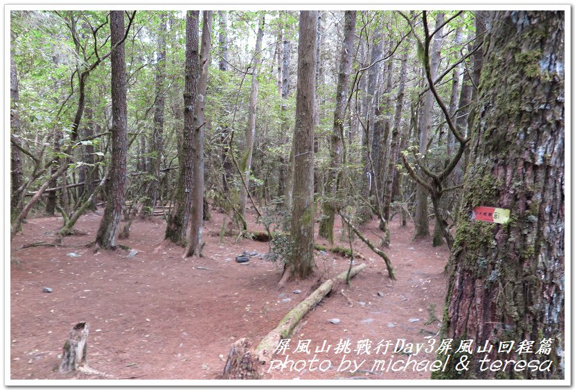 屏風山3天2夜挑戰行Day3快樂回程篇