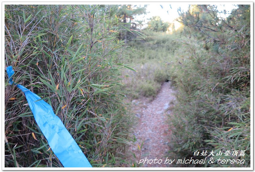 白姑大山3天2夜行Day2我們的第63座百岳NO45白姑大山