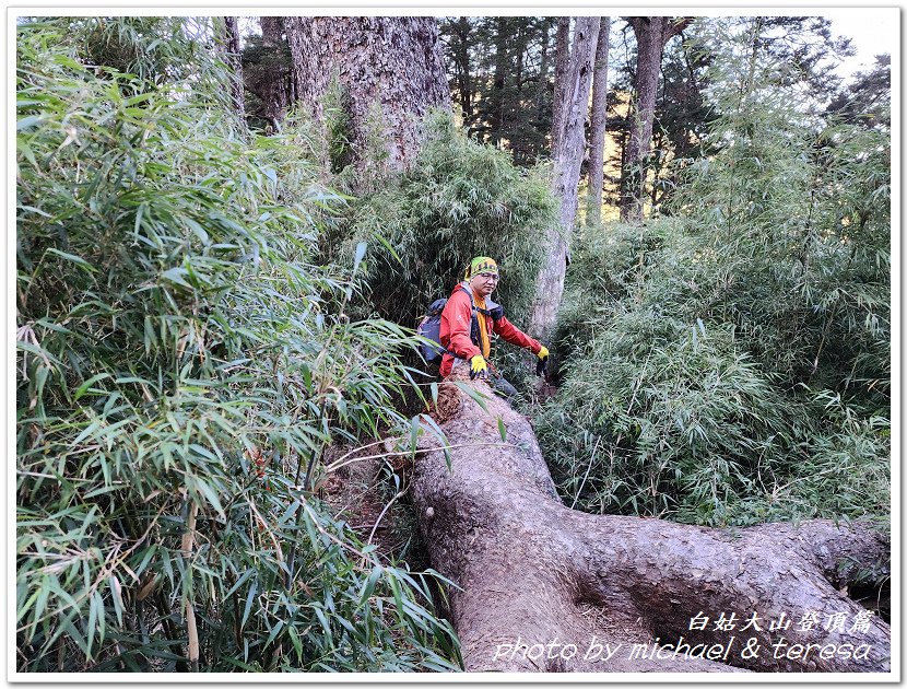 白姑大山3天2夜行Day2我們的第63座百岳NO45白姑大山