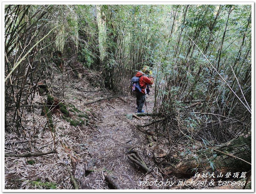 白姑大山3天2夜行Day2我們的第63座百岳NO45白姑大山