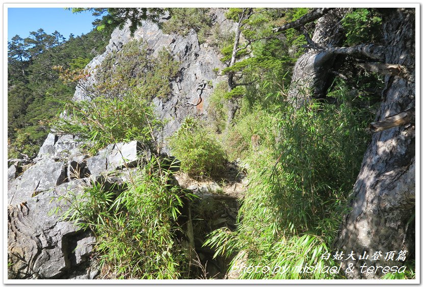 白姑大山3天2夜行Day2我們的第63座百岳NO45白姑大山