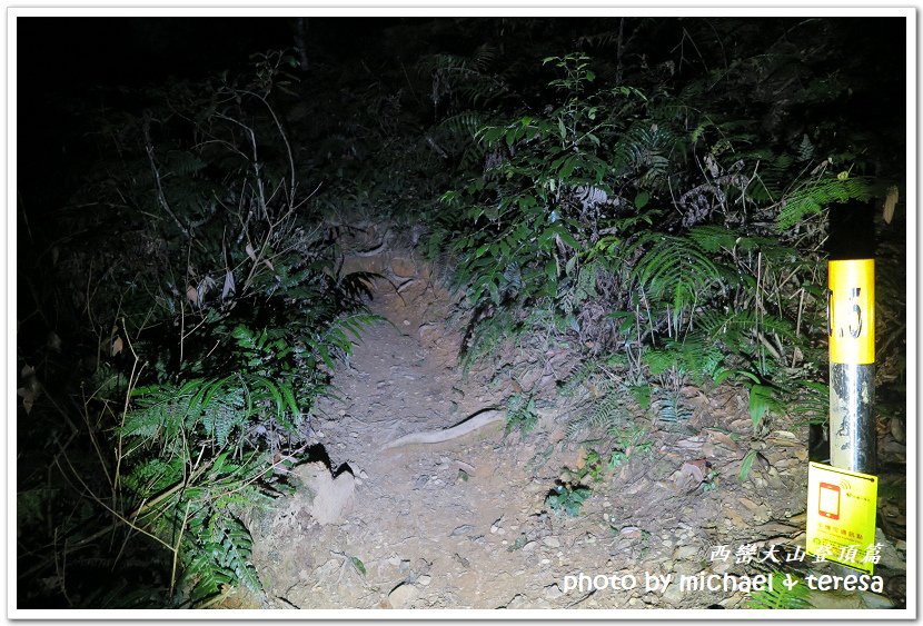 西巒大山3天2夜行我們的第64座百岳NO97西巒大山登頂篇