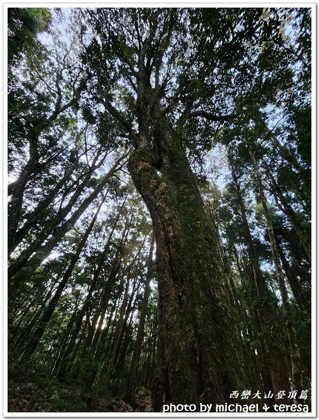 西巒大山3天2夜行我們的第64座百岳NO97西巒大山登頂篇