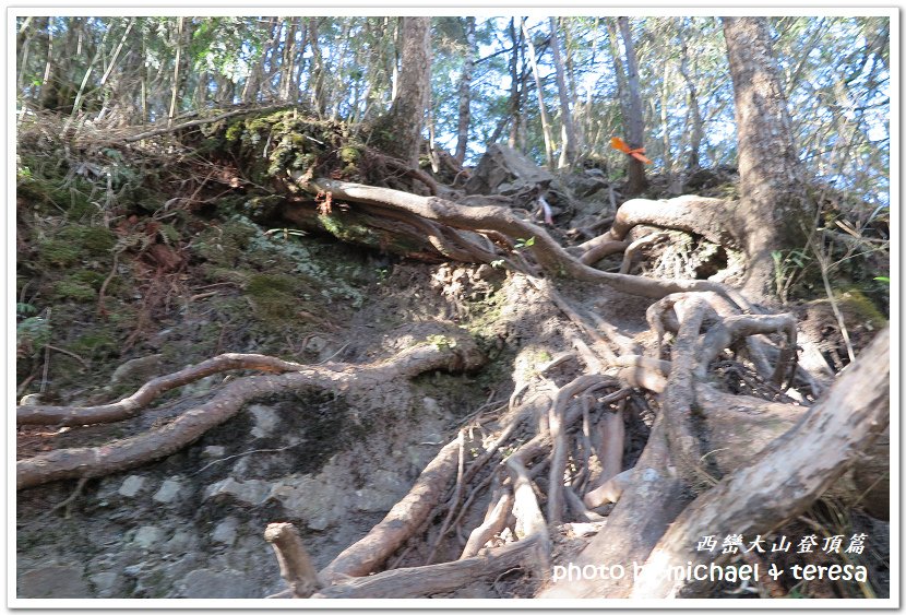 西巒大山3天2夜行我們的第64座百岳NO92西巒大山登頂篇