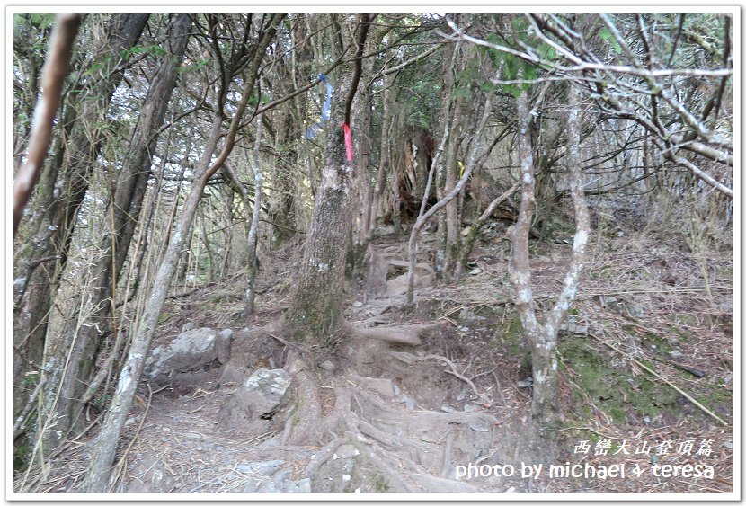 西巒大山3天2夜行我們的第64座百岳NO92西巒大山登頂篇