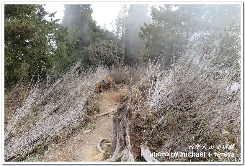 西巒大山3天2夜行我們的第64座百岳NO92西巒大山登頂篇