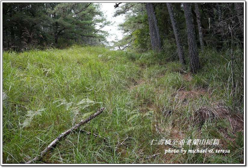 無緣的佳陽小劍山挑戰行D0及D1仁壽橋至油婆蘭山屋篇