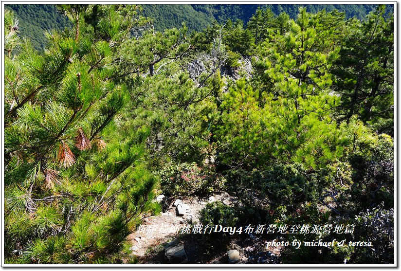 新康橫斷7天6夜挑戰行Day4布新營地至桃源營地篇