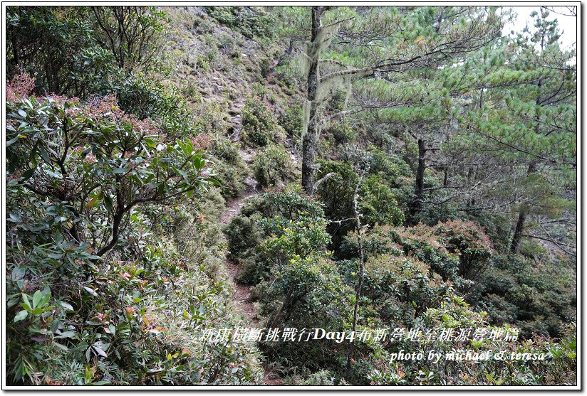 新康橫斷7天6夜挑戰行Day4布新營地至桃源營地篇