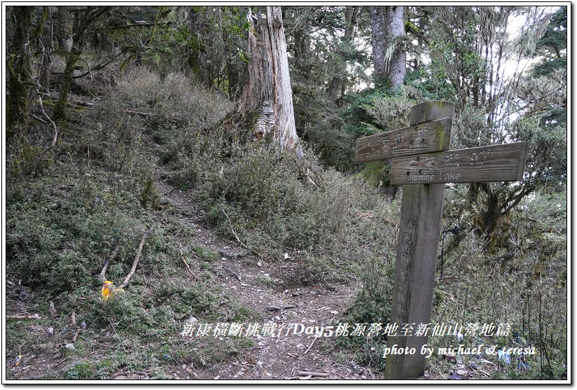 新康橫斷7天6夜挑戰行Day5(上)桃源營地至新仙山營地篇