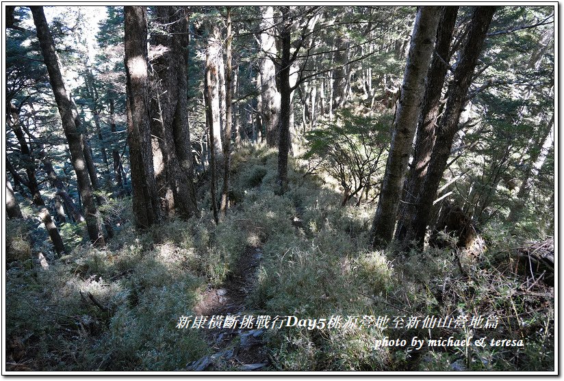 新康橫斷7天6夜挑戰行Day5(上)桃源營地至新仙山營地篇