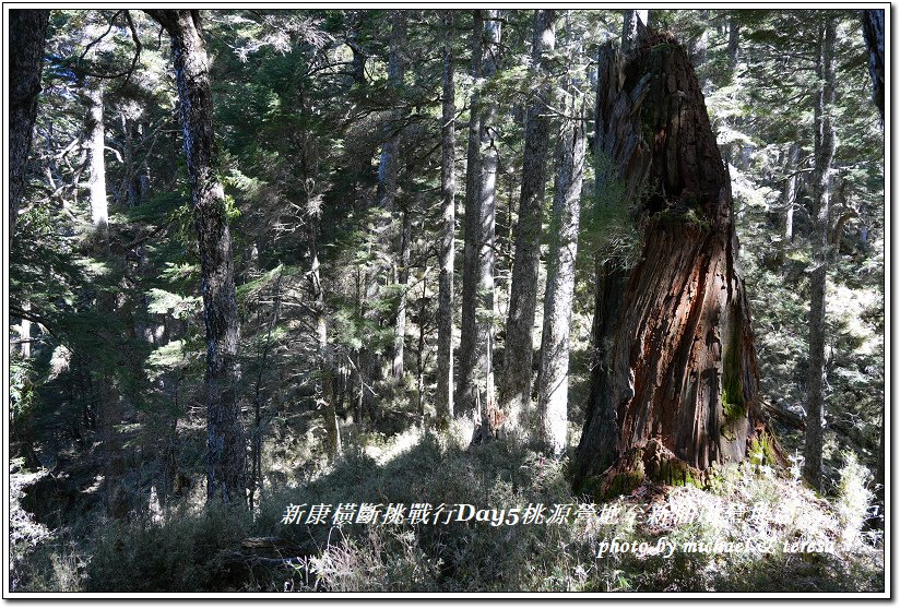 新康橫斷7天6夜挑戰行Day5(上)桃源營地至新仙山營地篇